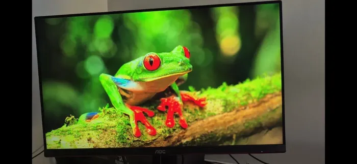 Monitor Gamer AOC Hero 24G2 24 polegadas IPS 144Hz Full HD - Excelente Estado