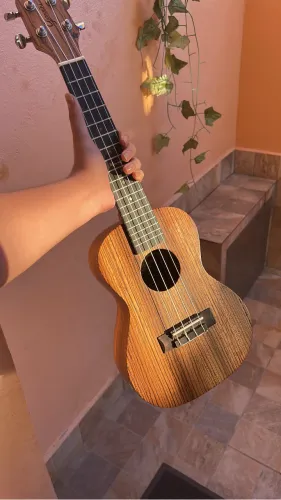 Ukulele