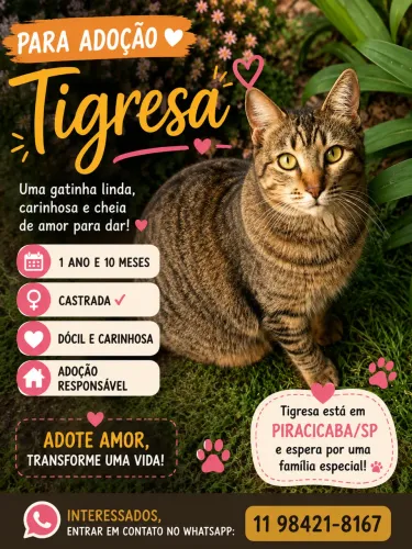 Adoção de gata