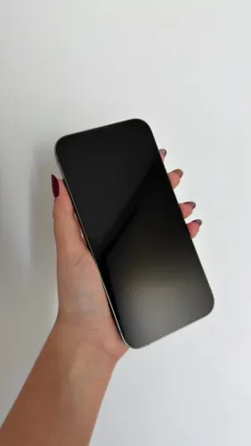 iPhone 13 Pro Max 1TB