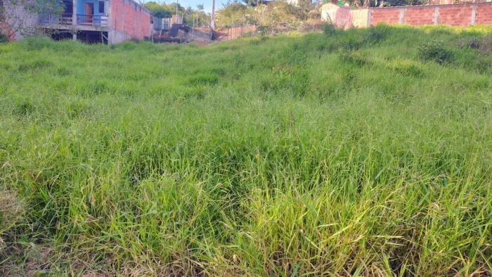 Lote para venda em São Loureço MG