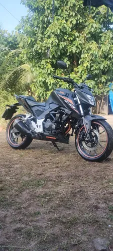 Cb300f 2024