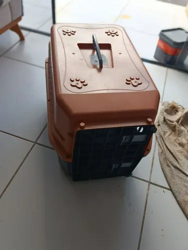 Casinha de cachorro e gato falta um parafuso