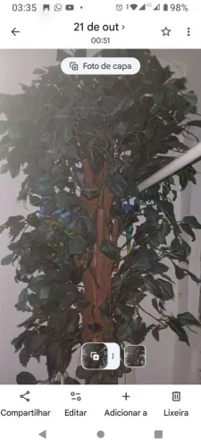 Planta artificial de + de 2 metros ! 25 RS