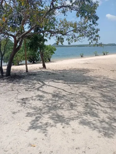 Terreno próximo a praia de Santarém alter do chão