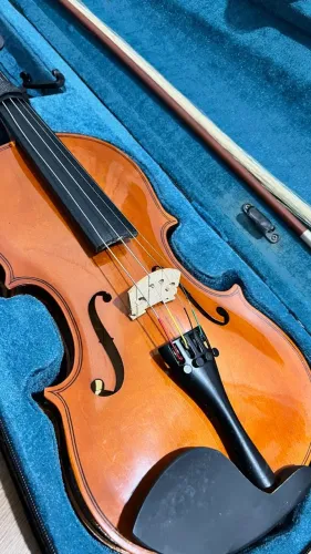 Violino