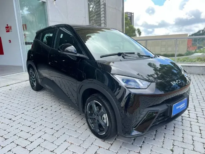 BYD Dolphin Mini (Elétrico) 2024