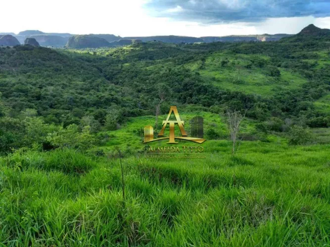 Fazenda à Venda para Cria e Recria - Pedra Preta - MT