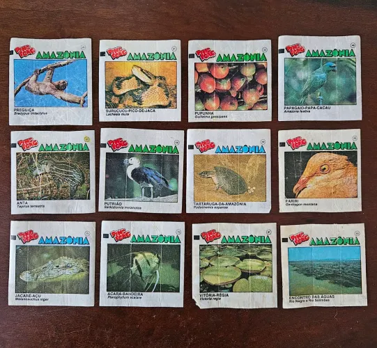 Lote figurinhas PingPong Amazônia 12un