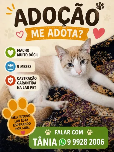 CREME COM BRANCO 