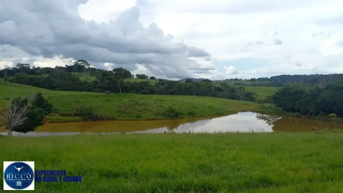 Fazenda à venda em Itaberaí-GO ! 36,5 Alqueires -