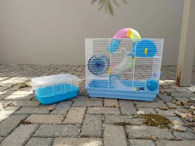 Linda gaiola para hamster