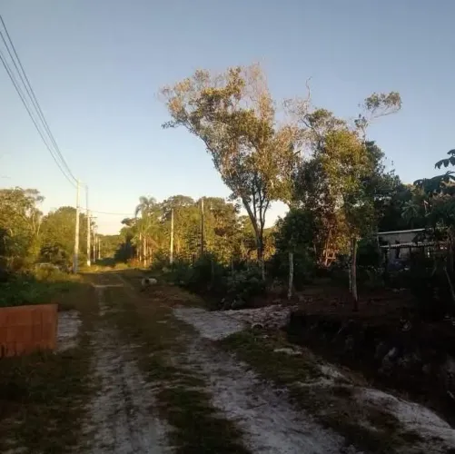TERRENO