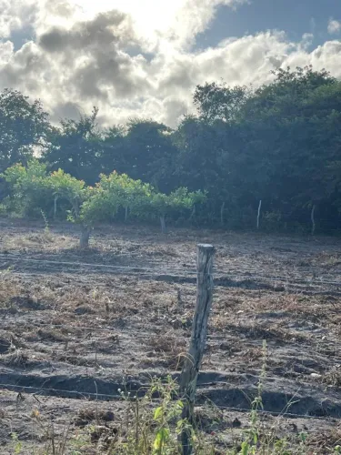 Terreno em Beberibe