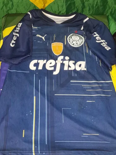 Camiseta do palmeiras Azul tri campeão da libertadores tamanho G sem a etiqueta