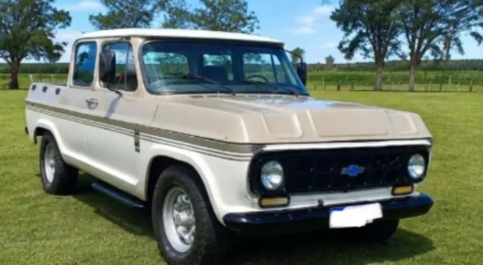 Chevrolet D-10 CD Diesel 1984
