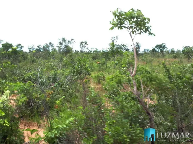 Excelente Fazenda em Lizarda - Tocantins, com 1691 HECTARES