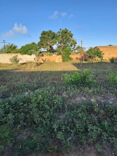 Terreno 10 X 25 na Asa Branca