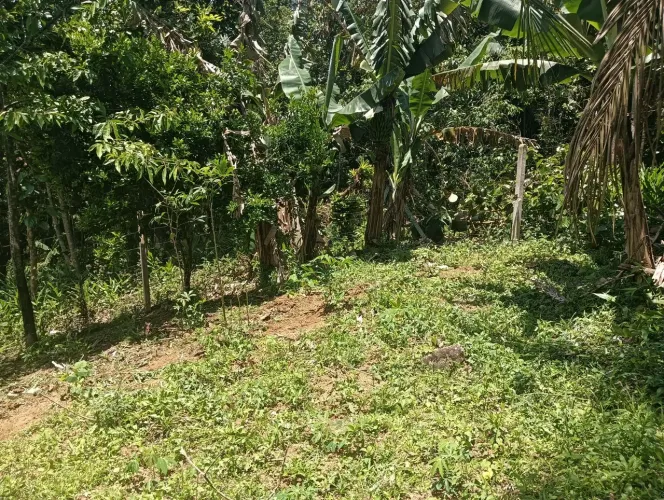 Chácara no Quiriri, estudo troca, carro, terreno, casa em Joinville