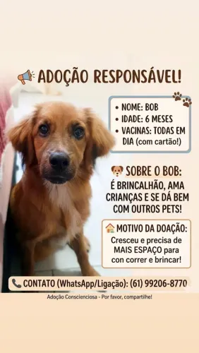 Adoração responsavel