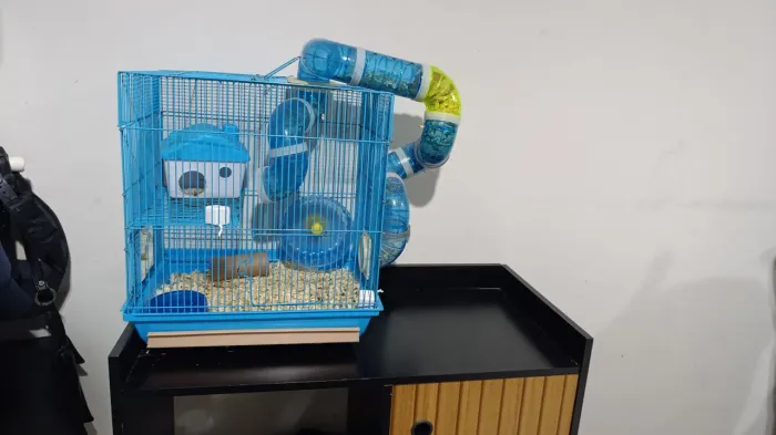 Gaiola hamster 