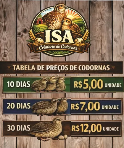 Ovos férteis e Codornas gigantes