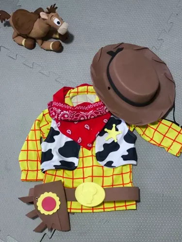 Fantasia Woody Toy Story 