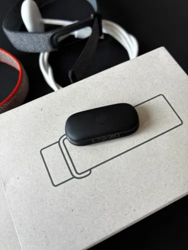 Pulseira inteligente Google Fitbit Air 