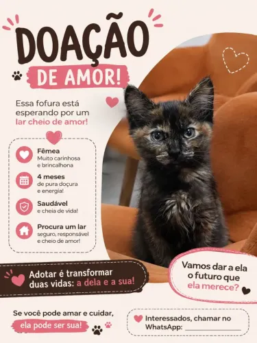 Doação de Gatinha