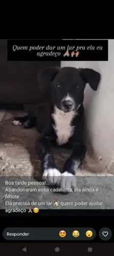 Doação