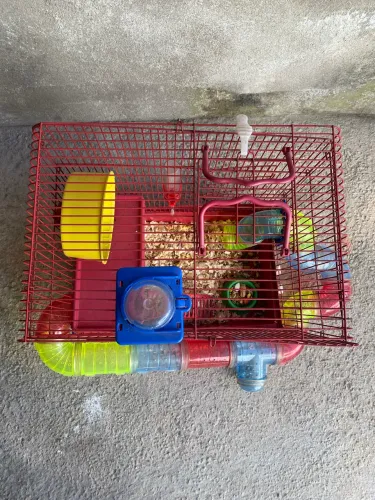 Gaiola de hamster