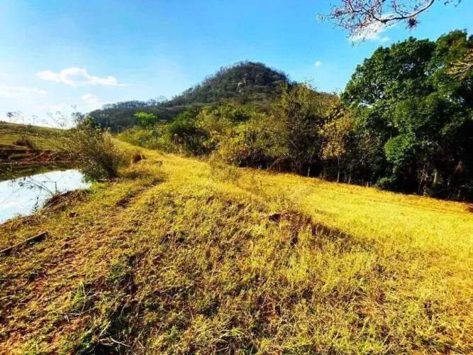 Sítio à venda, 31 alqueires por R$ 3.410.000 - Itirapina/SP