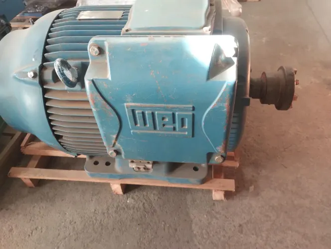 Motor 125 CV trifásico Weg w22 