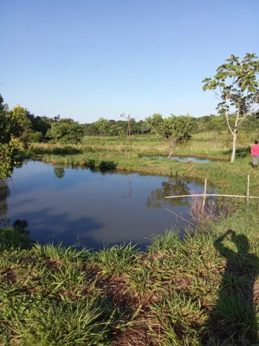 aluga chacara com 9 tanques pra criação de peixes