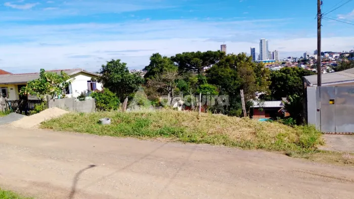 Terreno à Venda - 14mx33m, 462m² De área Total - Vila Coronel Claudio - Uvaranas
