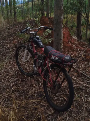 Bicicleta motorizada 