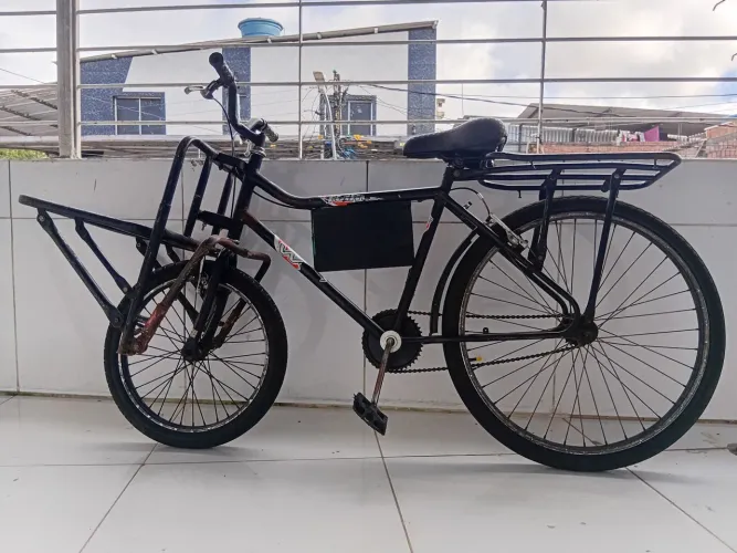 Bicicleta de Carga