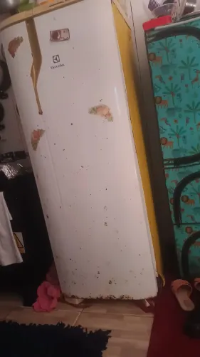 Vendo uma geladeira