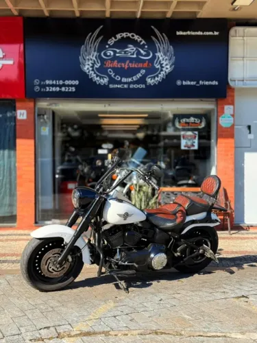 HARLEY DAVIDSON FAT BOY SPECIAL 2014 