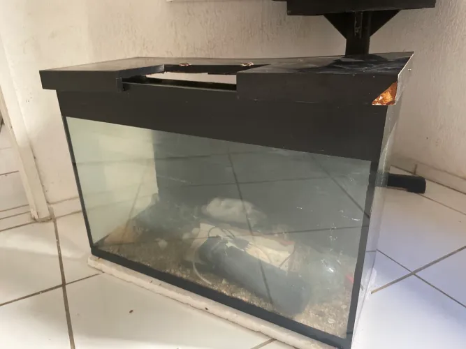 Aquário de Vidro Grande 