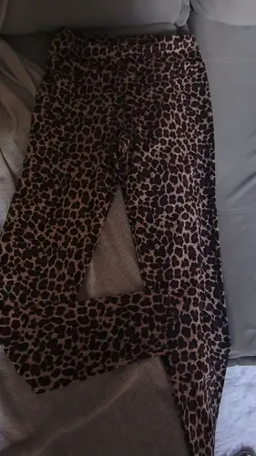 Legs
