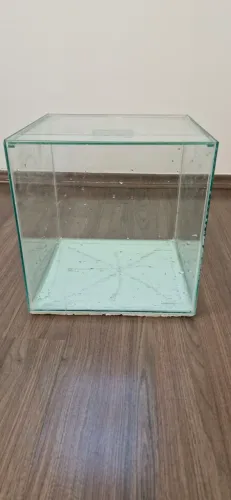 Vende-se Aquario 30L com filtro
