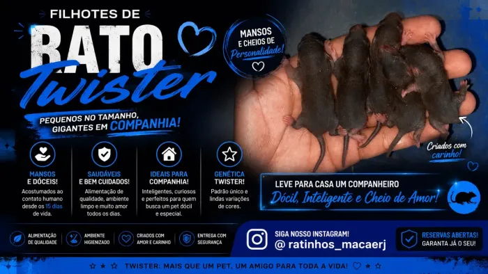 Ratos Twisters