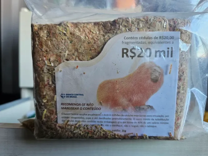 Células Fragmentadas 20 mil reais