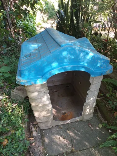 Casinha de cachorro