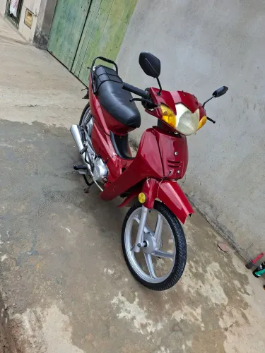 Phoenix gold 100cc