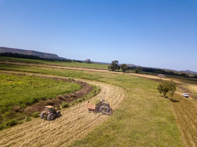 Fazenda 3.884 em Goiatins TO.c/1.652 alq pasto R$: 350 milhões.