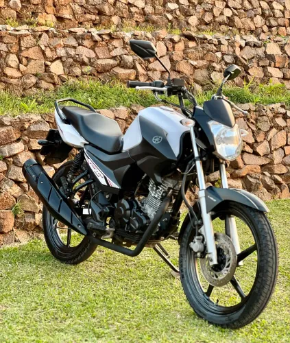 Yamaha Factor 150 2023