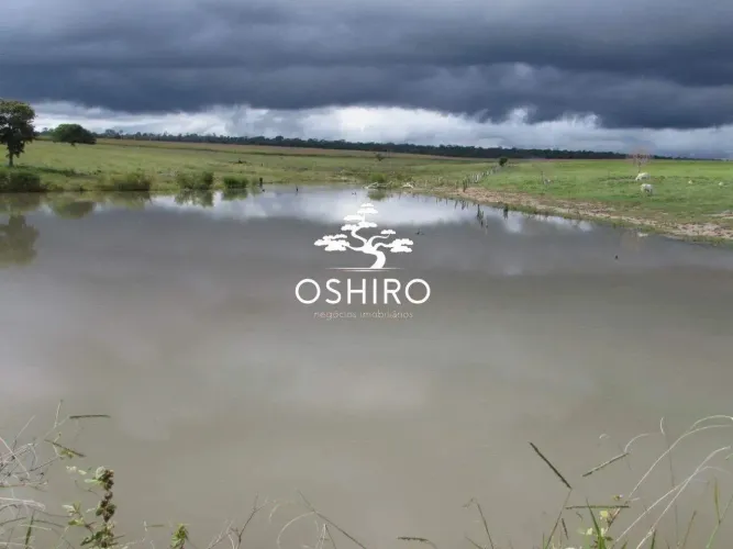 FAZ. DUPLA APTIDÃO JÁ COM SOJA - NIL. - CÓD. 13734