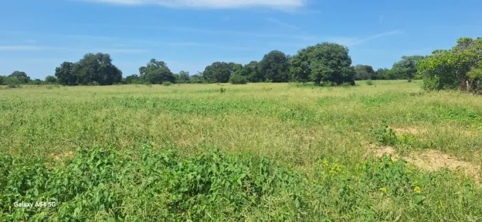 Fazenda de 134 hectares, nas margens do Rio São Francisco, a 10 km de Bom Jesus da Lapa-BA
